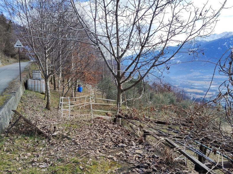 Altra categoria · Ponte in Valtellina (Sondrio)