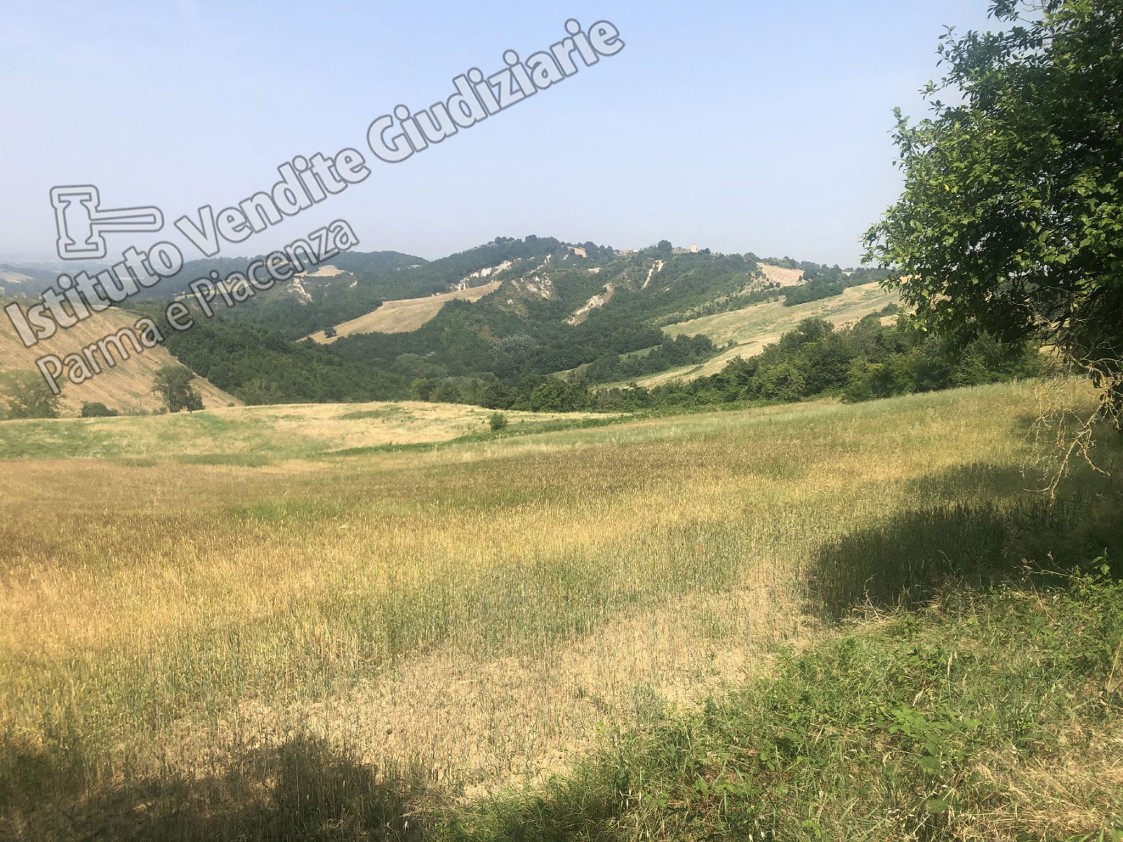 Altra categoria · Noceto (Parma)