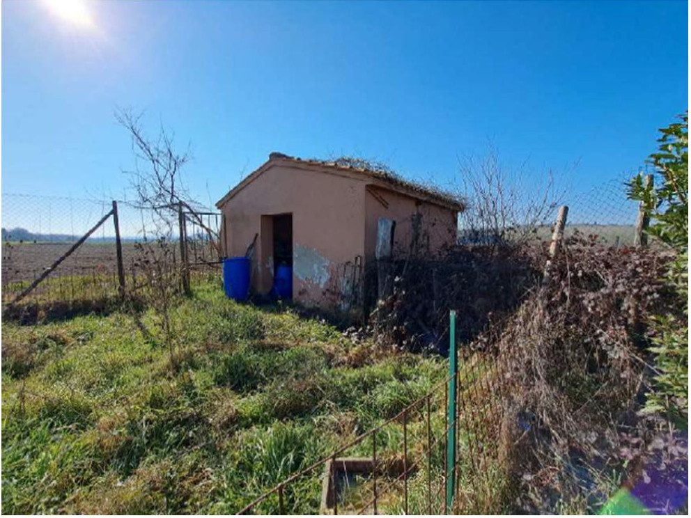 Altra categoria · Peccioli (Pisa)
