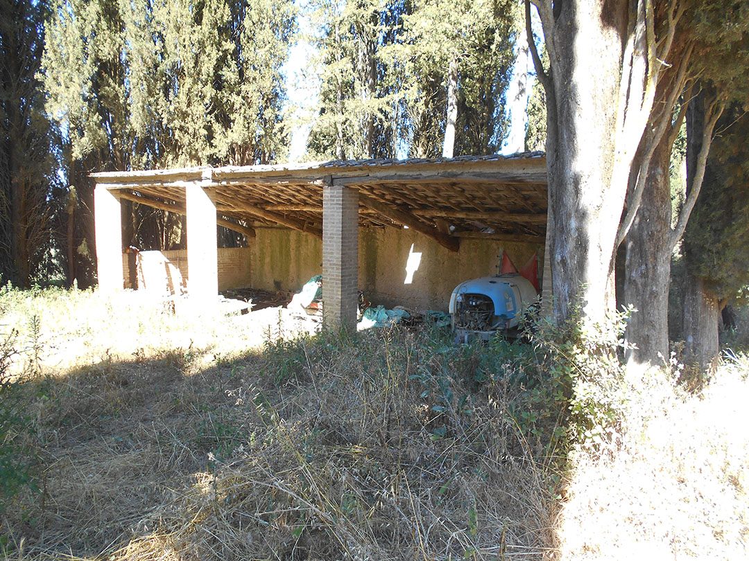 Immobile residenziale · Siena (Siena)