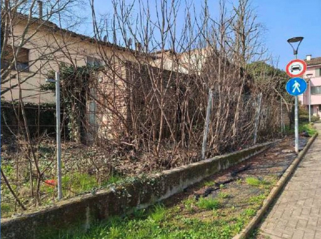 Altra categoria · Cavriago (Reggio Emilia)