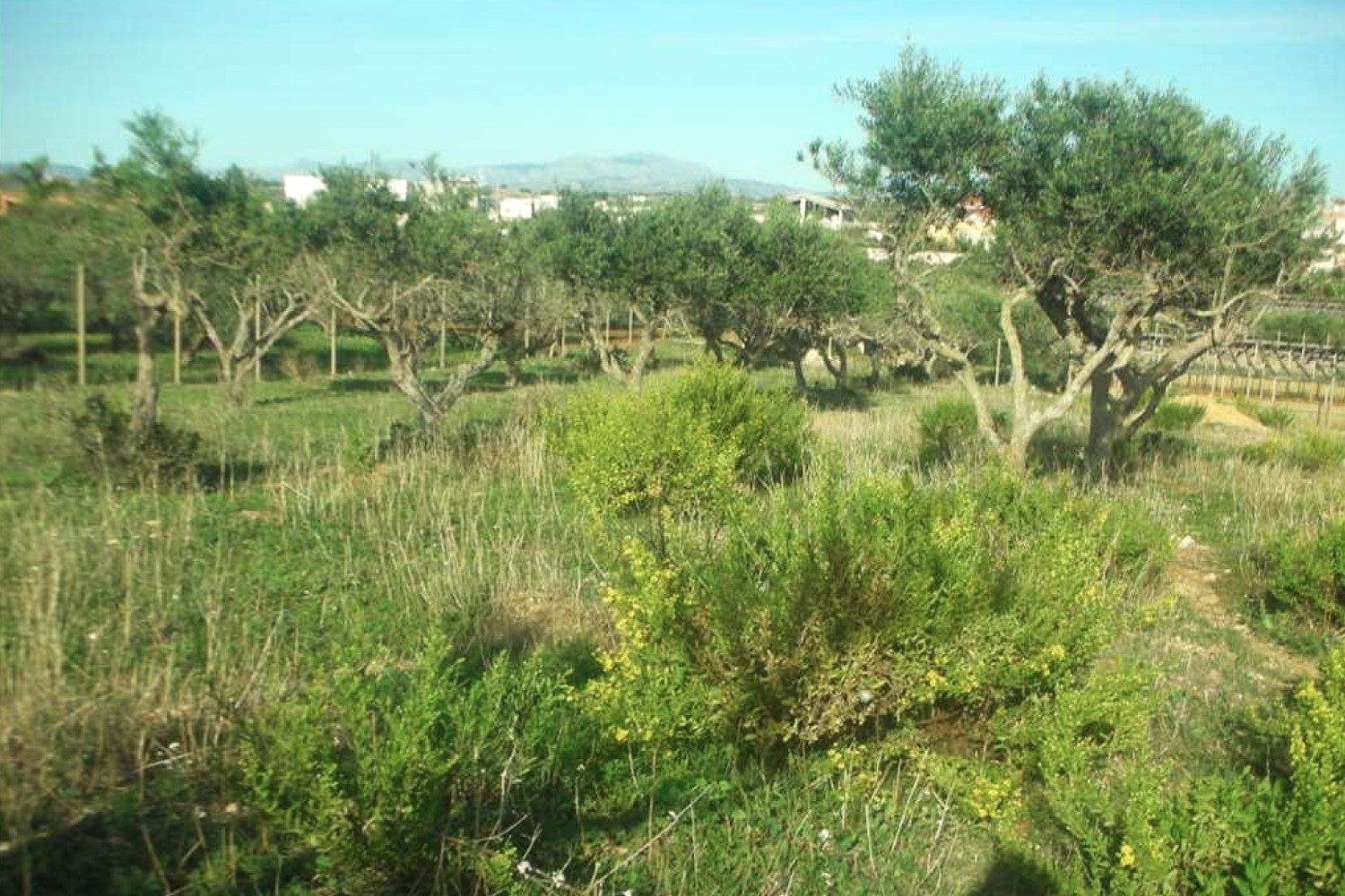 Altra categoria · Marsala (Trapani)
