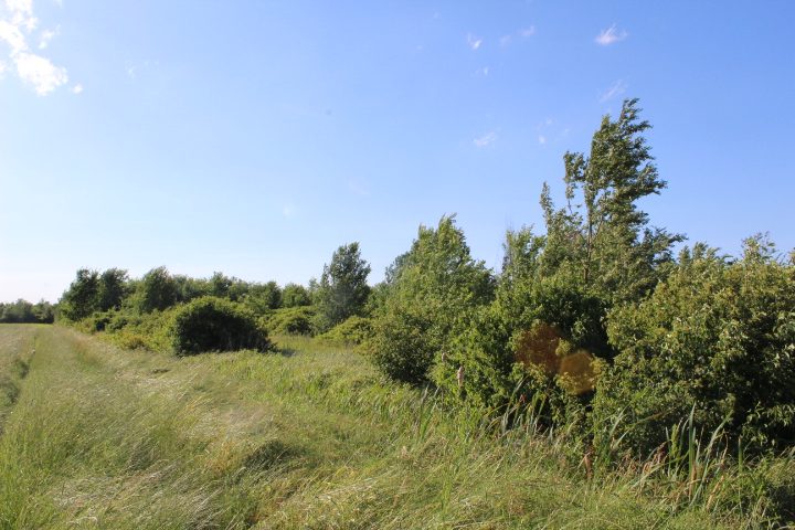 Altra categoria · Cadelbosco di Sopra (Reggio Emilia)