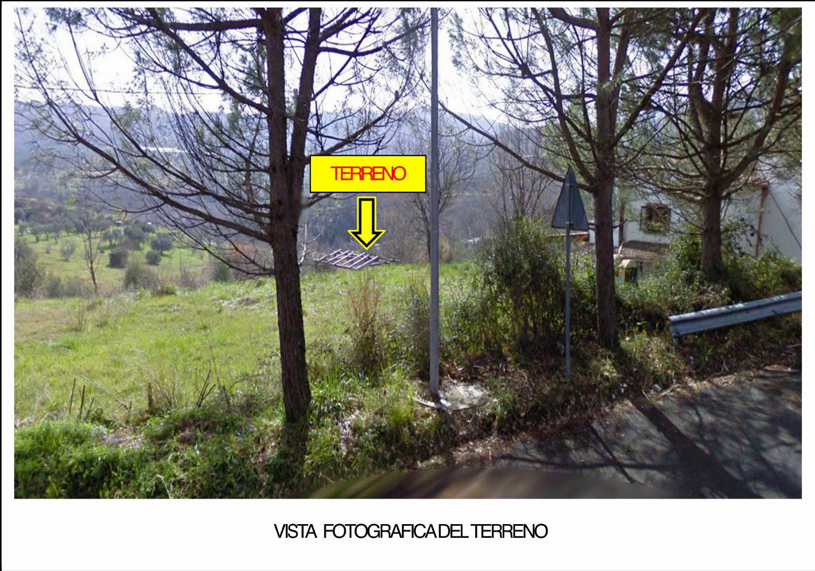 Altra categoria · Mendicino (Cosenza)