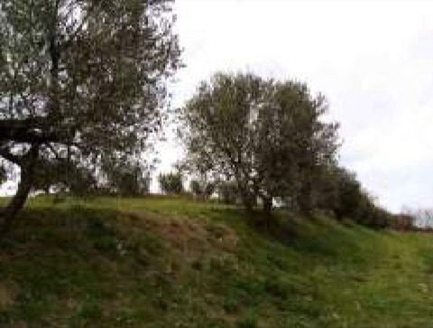 Immobile residenziale · Anghiari (Arezzo)