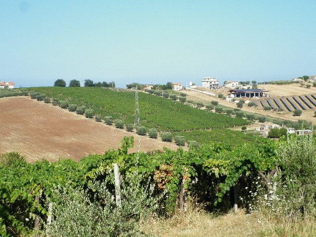 Altra categoria · Giulianova (Teramo)