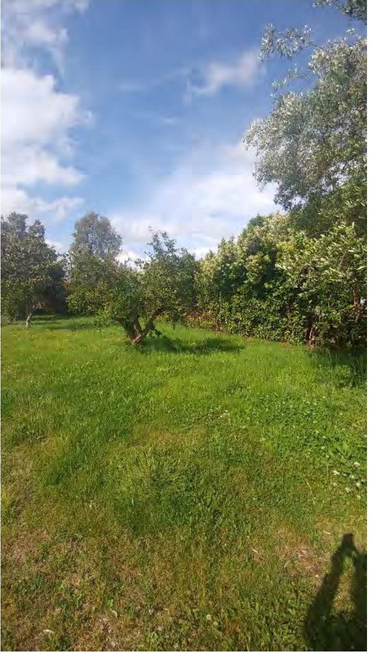 Immobile residenziale · Aprilia (Latina)