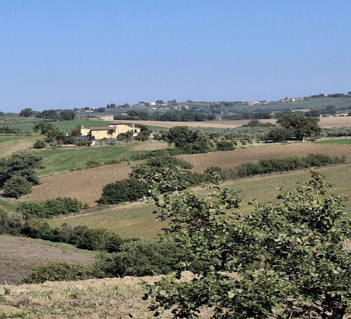 Altra categoria · Montefalco (Perugia)