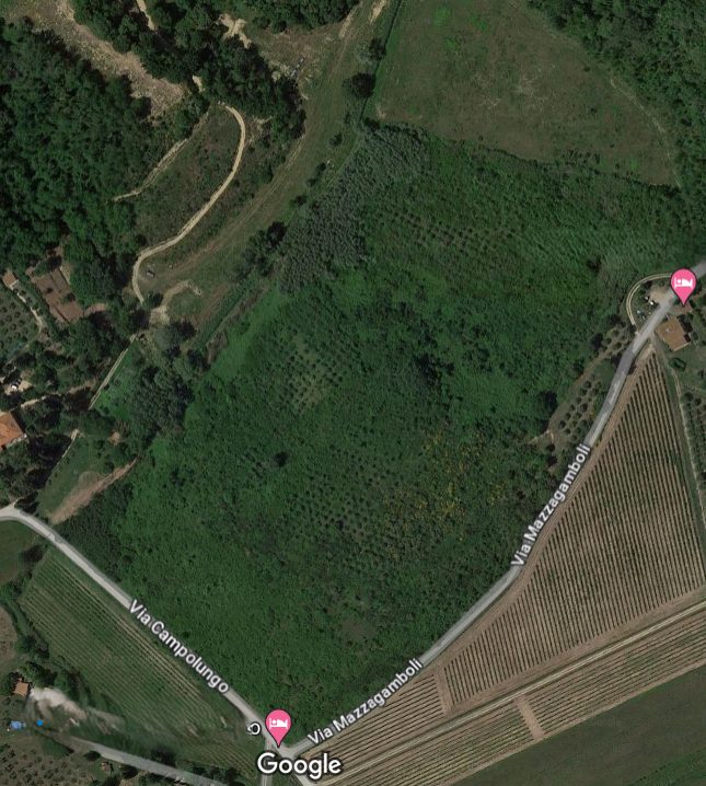Altra categoria · Casciana Terme Lari (Pisa)