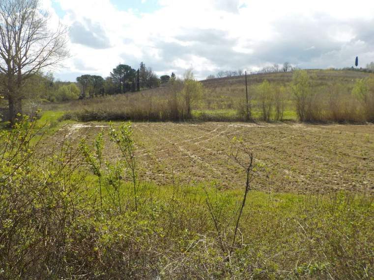 Altra categoria · Capannoli (Pisa)