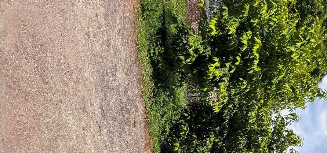 Immobile residenziale · Cugliate-Fabiasco (Varese)