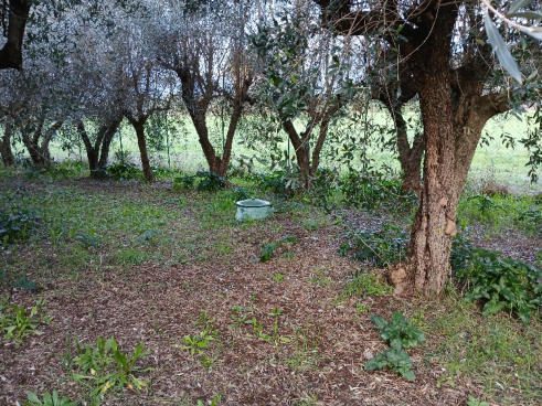 Immobile residenziale · Sermoneta (Latina)