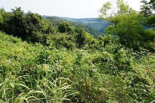 Altra categoria · Gambugliano (Vicenza)