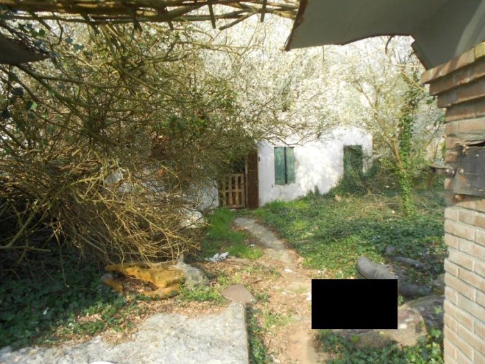Immobile residenziale · Villanova Marchesana (Rovigo)