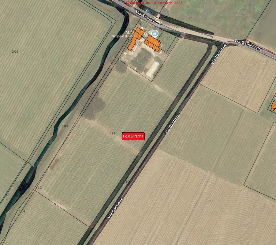 Altra categoria · Carpi (Modena)