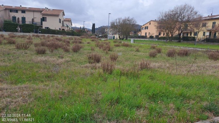 Altra categoria · Sarteano (Siena)