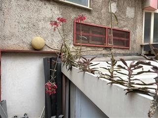 Immobile commerciale · Barcellona Pozzo di Gotto (Messina)