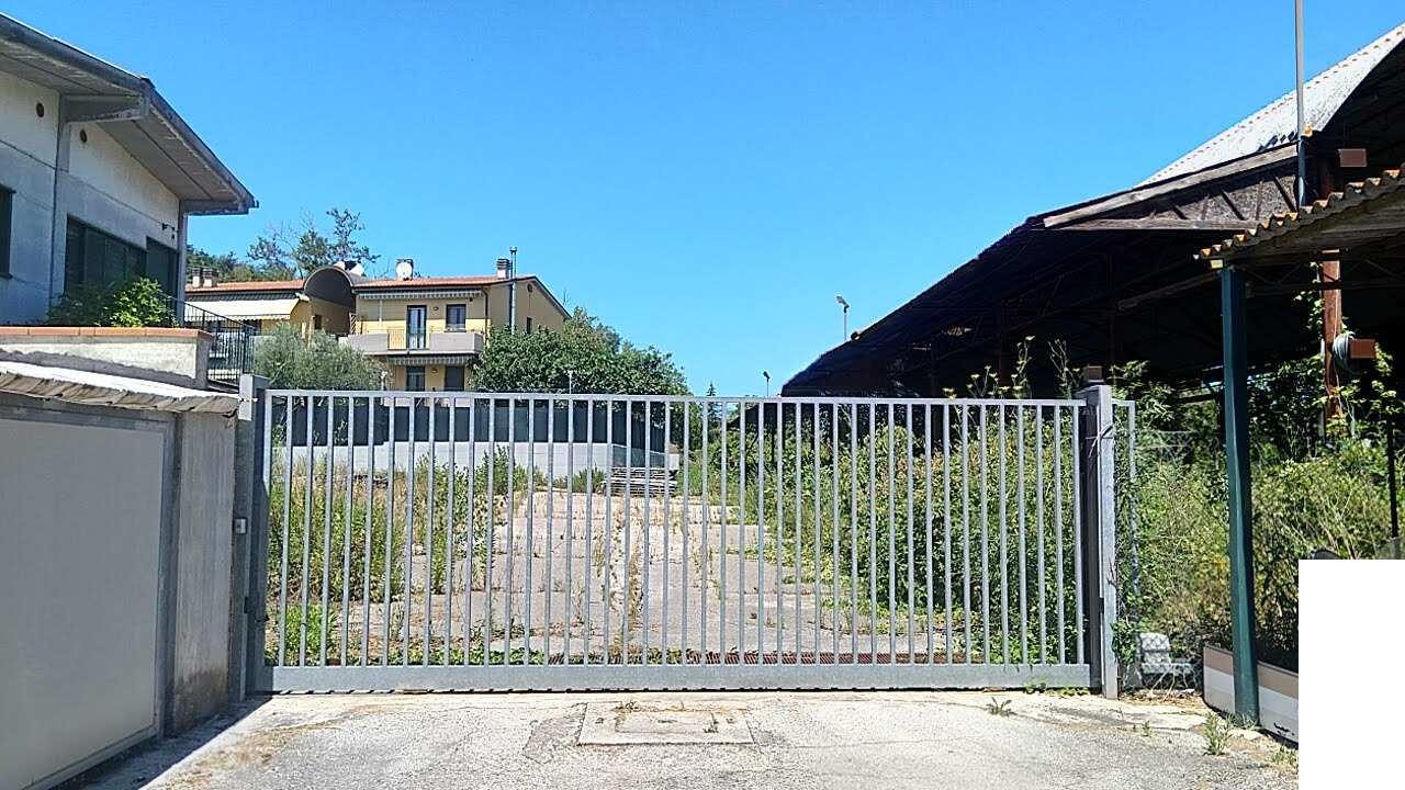 Altra categoria · Pesaro (Pesaro e Urbino)
