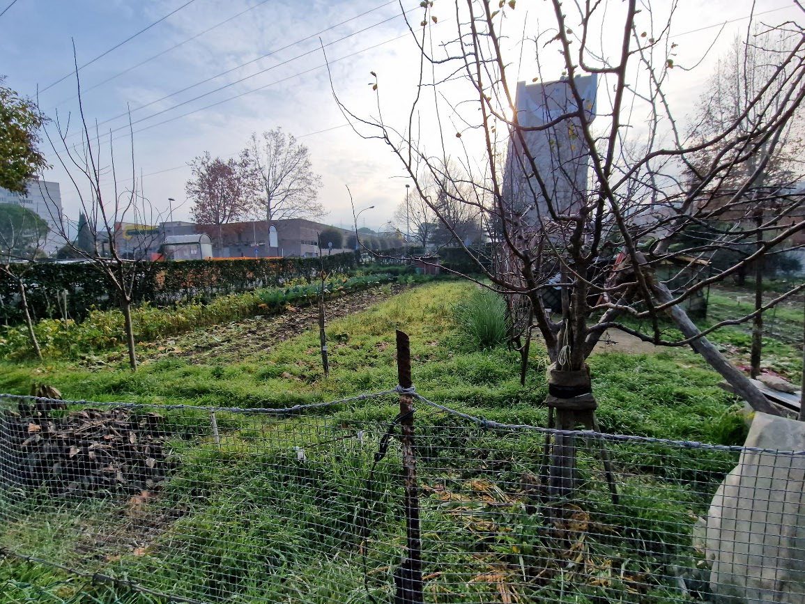 Altra categoria · Terni (Terni)