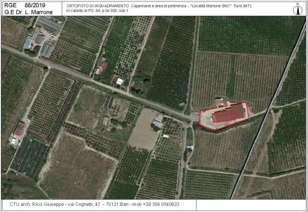Altra categoria · Tursi (Matera)