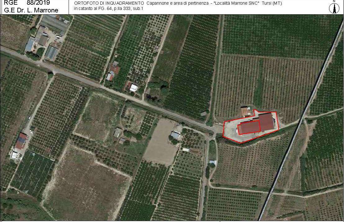 Immobile commerciale · Tursi (Matera)
