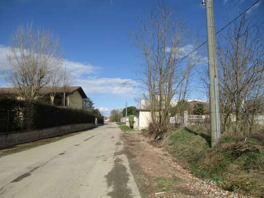 Altra categoria · Sale (Alessandria)