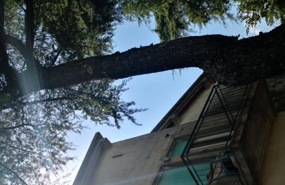 Immobile residenziale · Gaiole in Chianti (Siena)