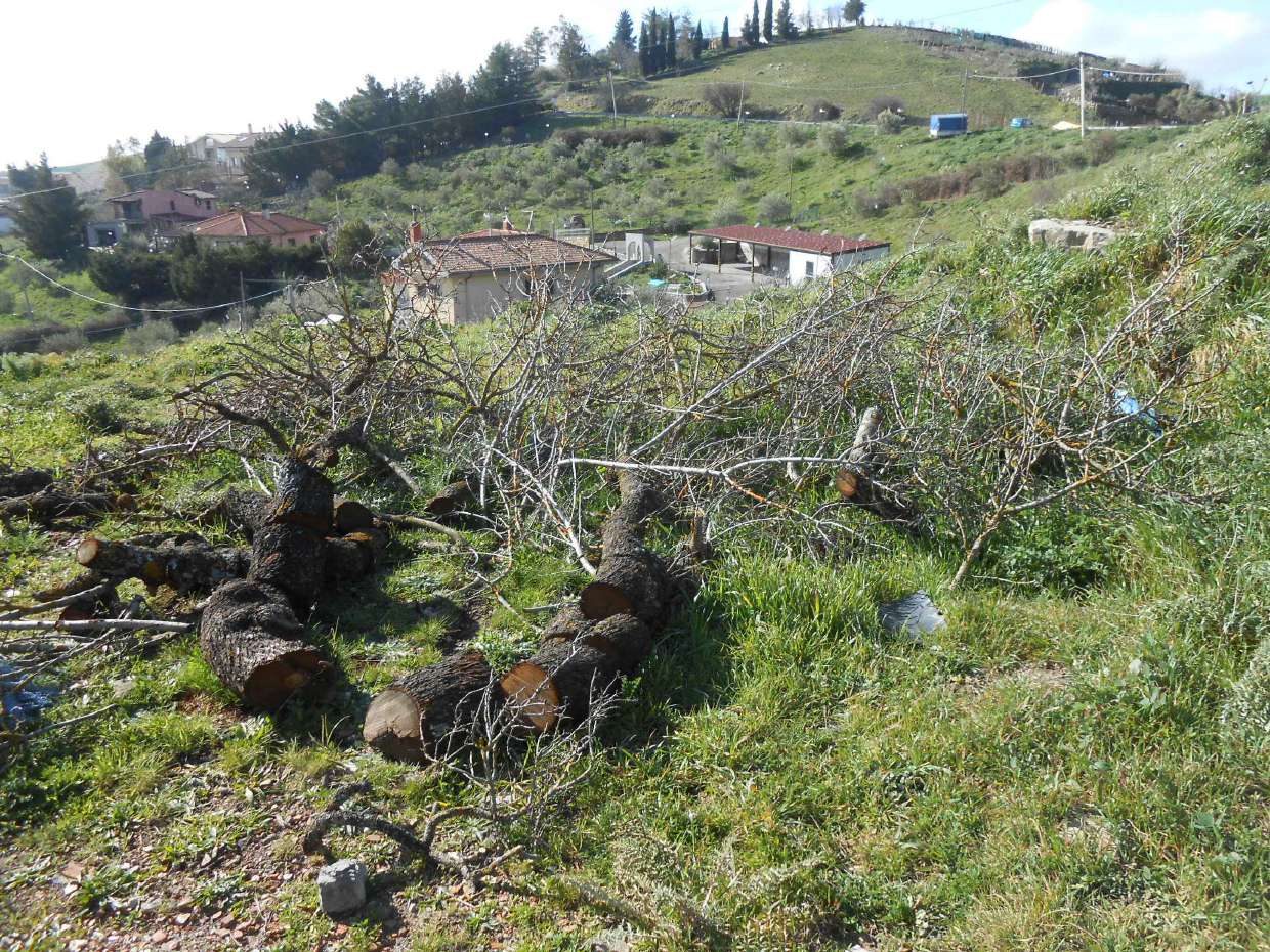 Immobile commerciale · Troina (Enna)