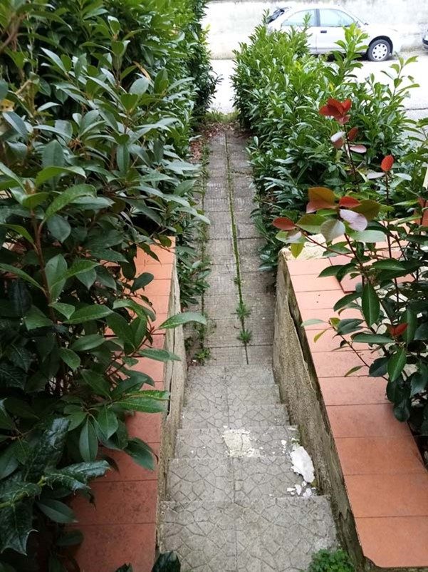 Immobile residenziale · Castiglion Fiorentino (Arezzo)