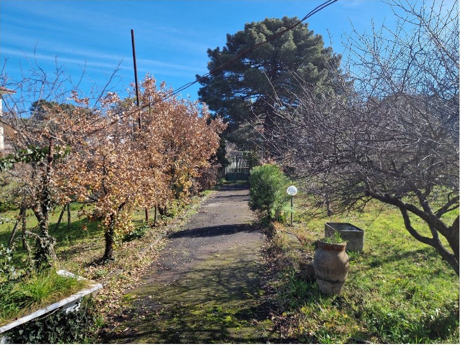 Altra categoria · Pedara (Catania)