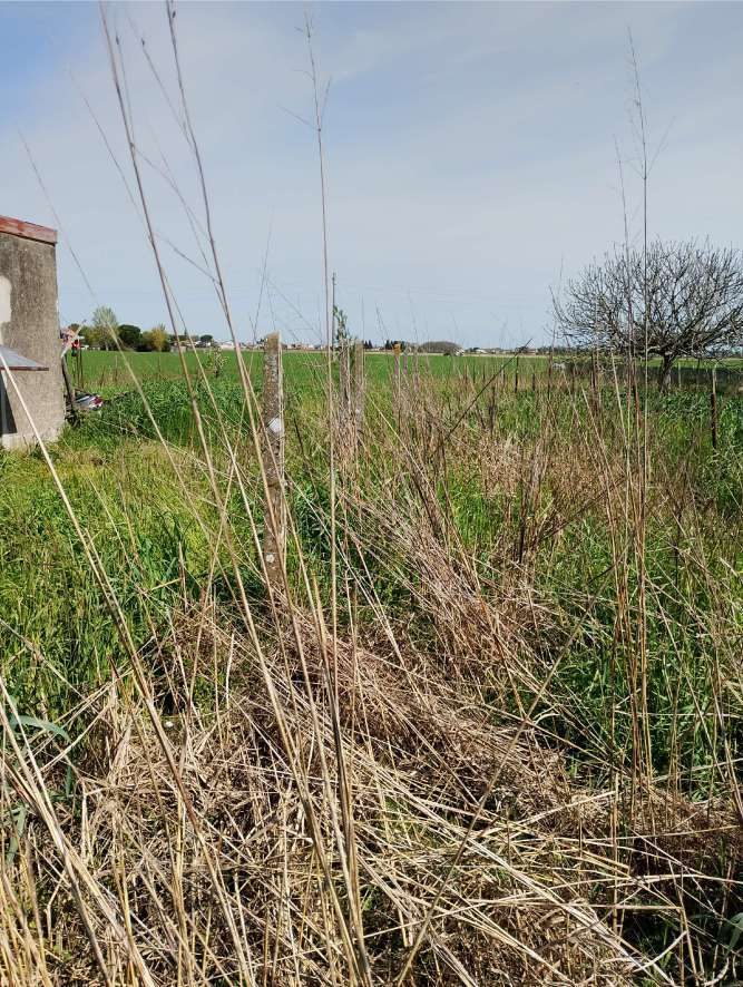 Immobile residenziale · Copparo (Ferrara)