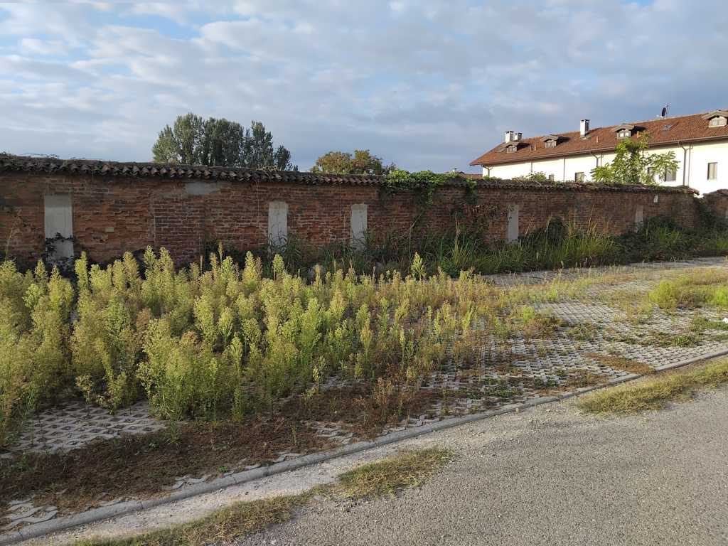 Altra categoria · Vinovo (Torino)