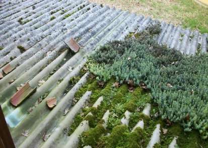 Immobile residenziale · Semiana (Pavia)