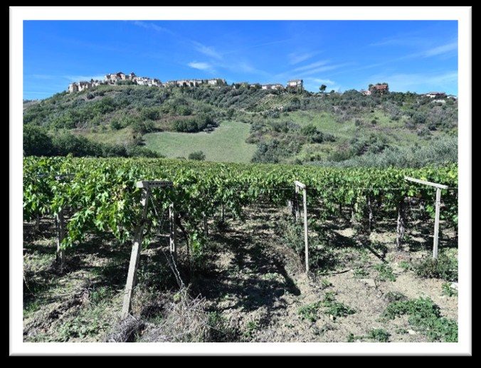 Immobile commerciale · Casalbordino (Chieti)