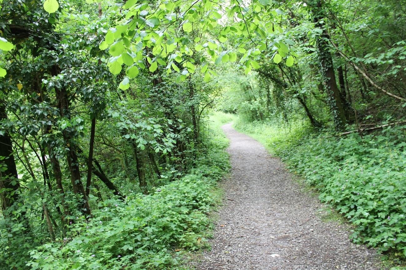 Altra categoria · Besana in Brianza (Monza e della Brianza)