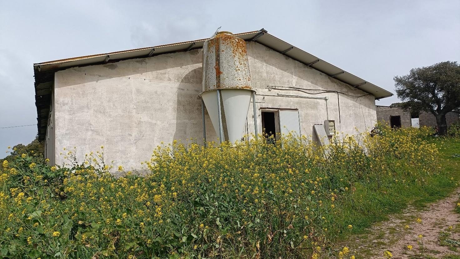 Altra categoria · Samugheo (Oristano)