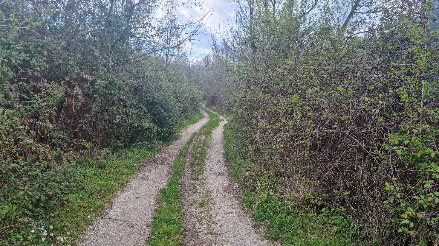 Altra categoria · Serino (Avellino)