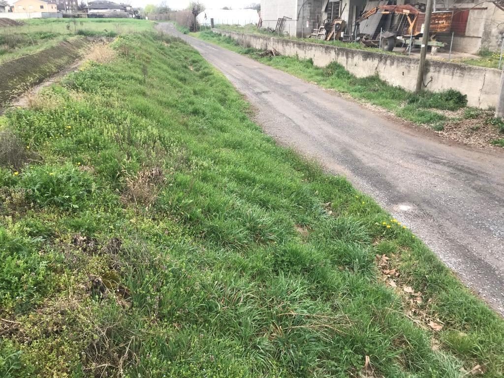 Altra categoria · Canneto sull'Oglio (Mantova)
