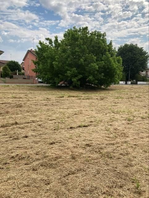 Altra categoria · Curtatone (Mantova)
