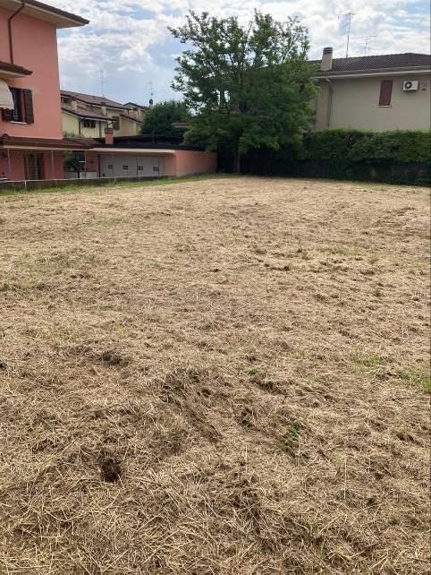 Altra categoria · Curtatone (Mantova)