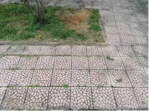 Impianto sportivo · Foggia (Foggia)
