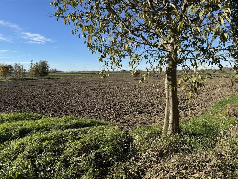 Altra categoria · San Possidonio (Modena)