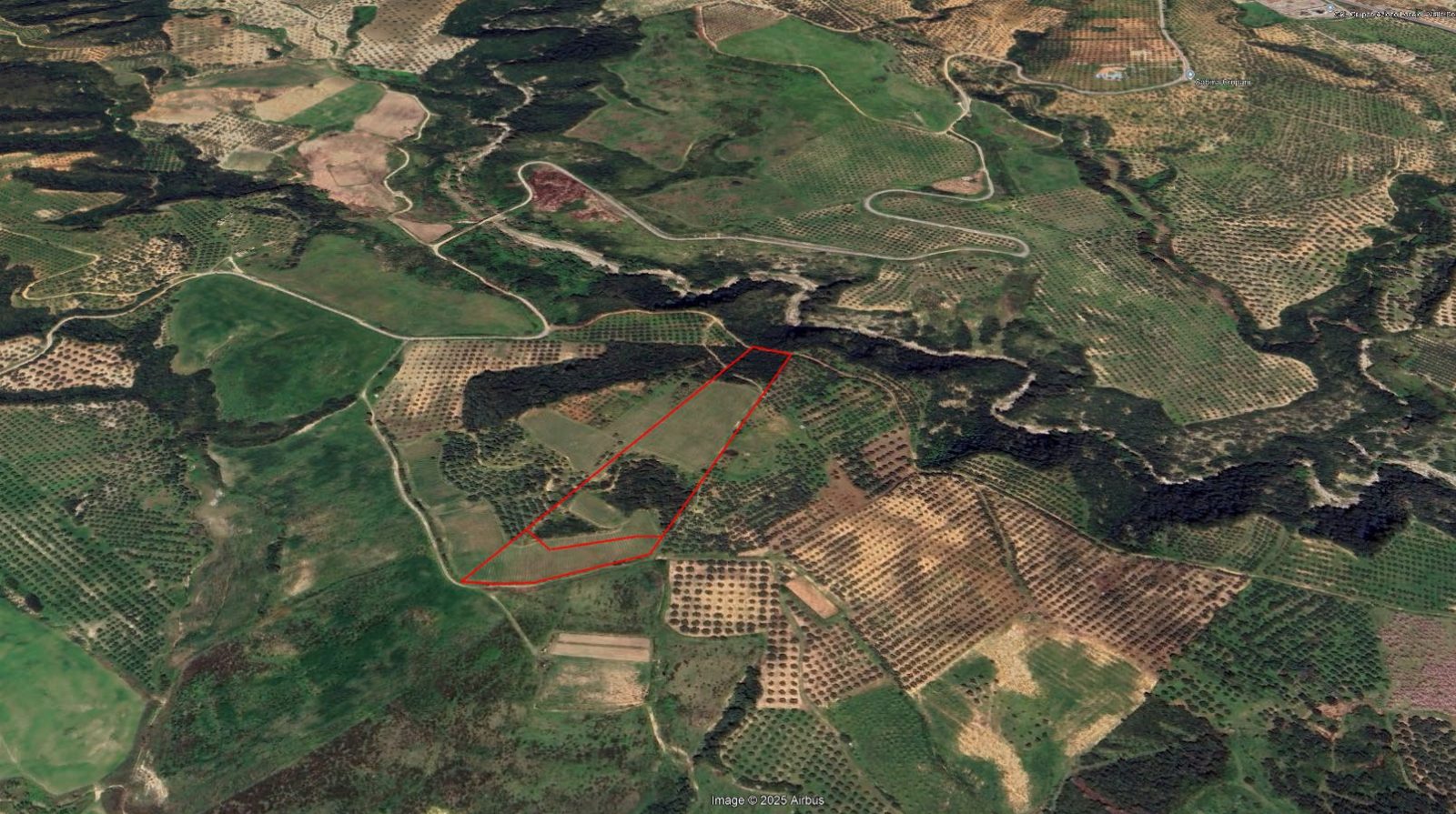 Altra categoria · Cropani (Catanzaro)