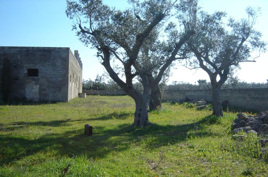 Altra categoria · Collepasso (Lecce)