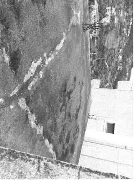 Immobile residenziale · Belvedere Marittimo (Cosenza)