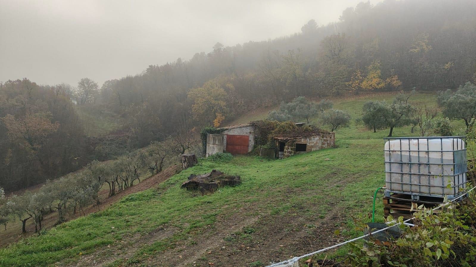 Immobile commerciale · Configni (Rieti)