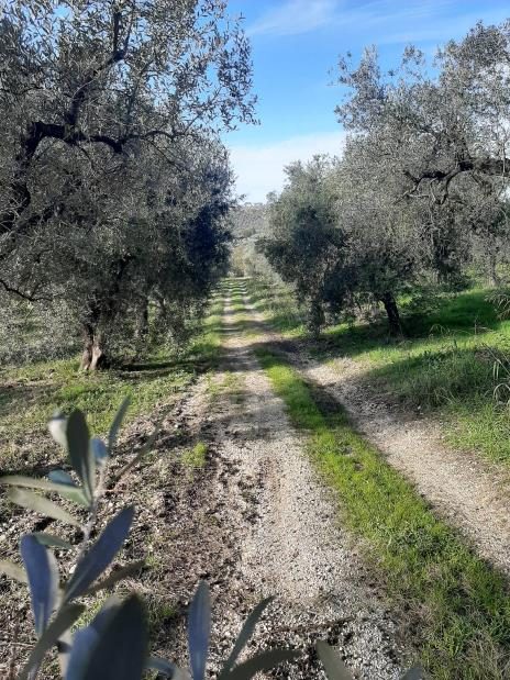 Immobile residenziale · Castelnuovo di Farfa (Rieti)