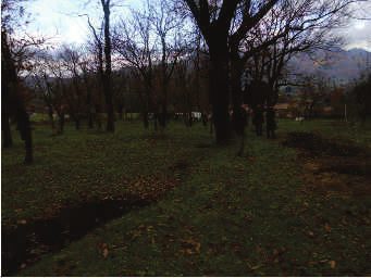 Altra categoria · Volturara Irpina (Avellino)