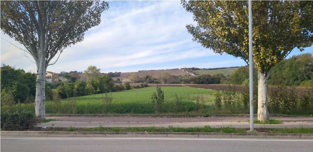 Altra categoria · Mondolfo (Pesaro e Urbino)