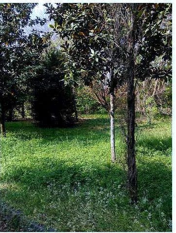 Immobile residenziale · Caneva (Pordenone)
